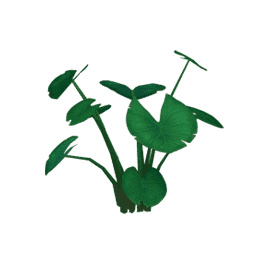 「이슬 먹는 잎 우산」