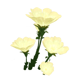 「정결한 꽃잔」