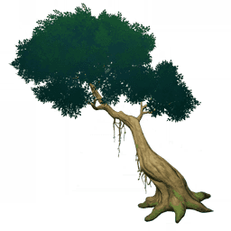 비스듬히 뻗은 나무