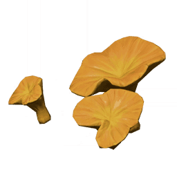 살구색 가랑잎 버섯