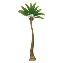 새벽의 푸른 철 나무