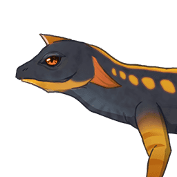 빨강 꼬리 도마뱀