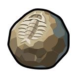 귀중한 화석 코어