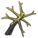 사유가 묻힌 가지