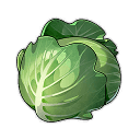 그린볼 양배추