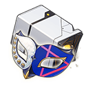 유성을 쫓는 괴도