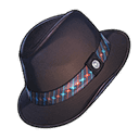 은둔자의 챙 넓은 페도라