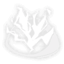 전광석화의 순간