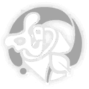 라이온스 테일