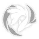 꿈을 헤엄치는 물고기