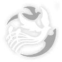 {RUBY_B#は}羽{RUBY_E#}ばたくホワイトノイズ