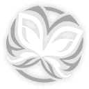 반딧불이 Type-IV•데스 스타 과부하