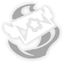 선물이 다 어디 갔지?