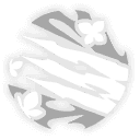 뼈의 발톱, 저승 용의 포옹