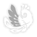 세상을 관통하는 천 개의 눈