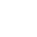 피해 강화•양자